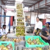 Balaji Agro Industries has so far exported 6 containers of crude avocado oil, with their biggest market in Europe