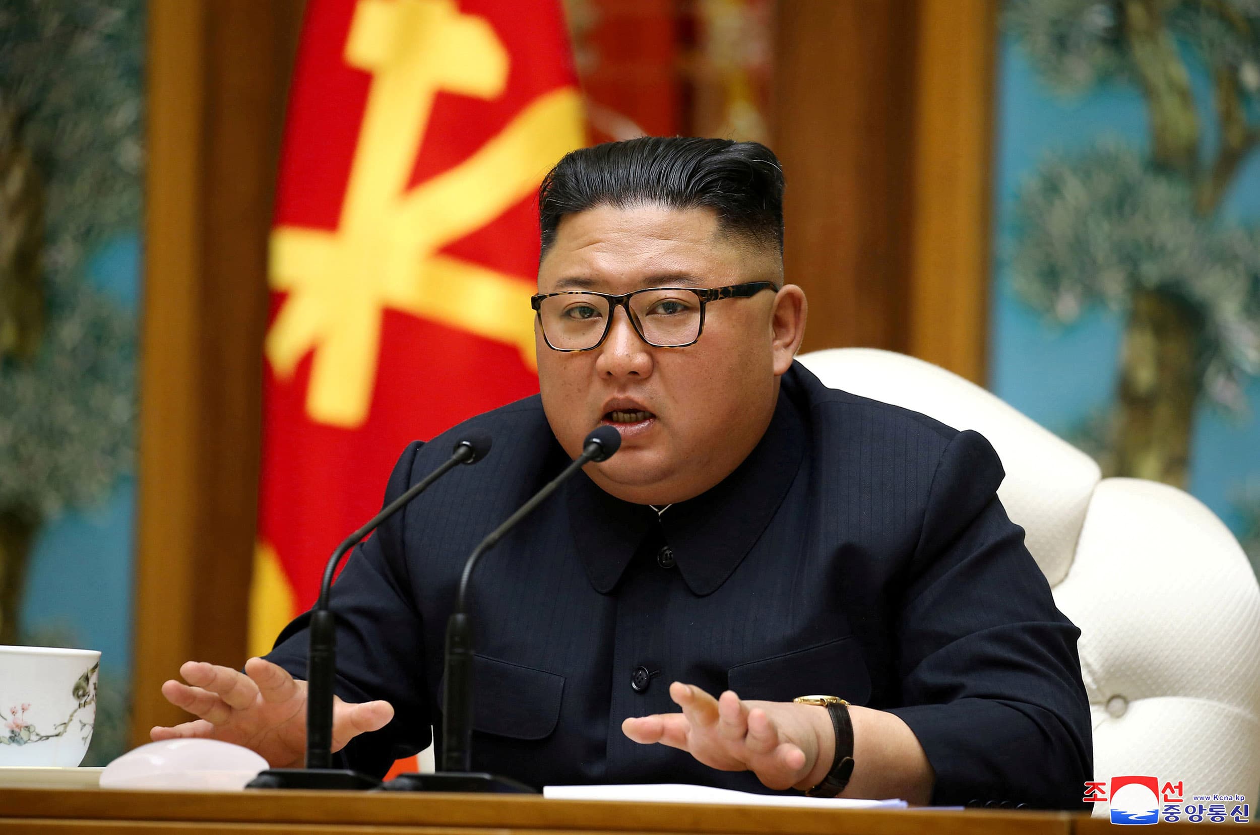 'North Korea's Kim Jong UN Alive and Well'