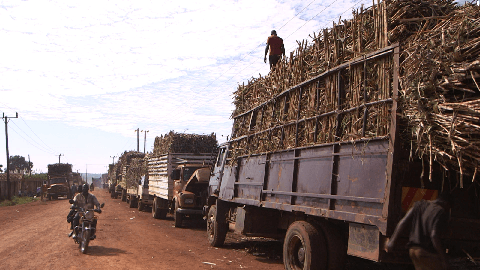 Traders Cry Out as Kenyan Authorities Block Ugandan Sugarcane Trucks