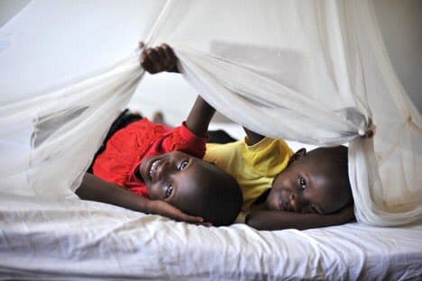 Second Wave of Mosquito Net Distribution to Cover 28 Districts