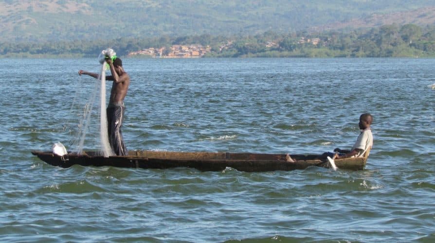 Preliminary results show fish on L. Victoria, Kyoga not poisoned