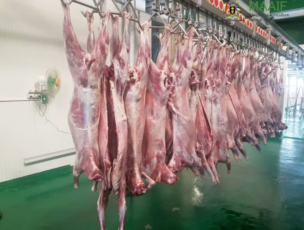Uganda eyes growing exports to China with new abattoir