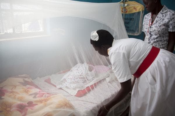 Health Ministry to Distribute 3.8 Million Mosquito Nets in Final Phase