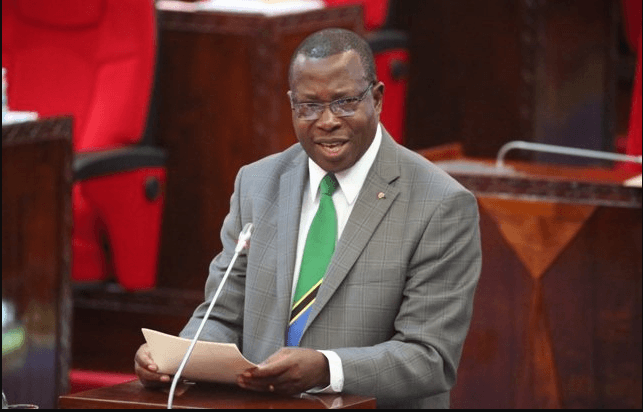 Tanzania's Samia Suluhu Appoints New Vice President