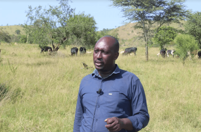 Farmers in Western Uganda Cry to Government over Milk Prices