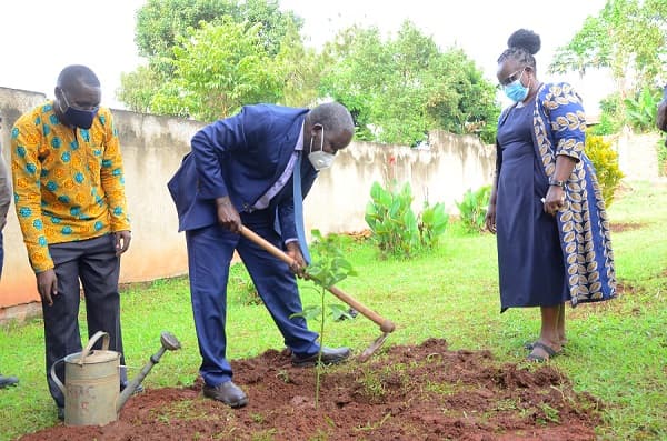 Mt. Elgon Tree Growing Enterprise Joins ROOTs Campaign 
