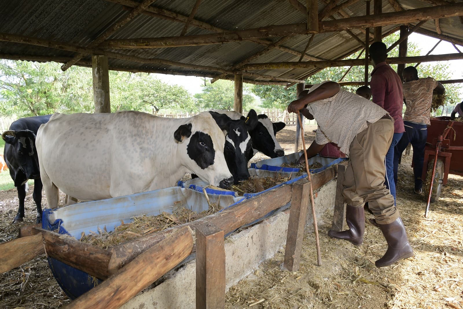 CNOOC Livelihood Restoration Program is Changing Lives 