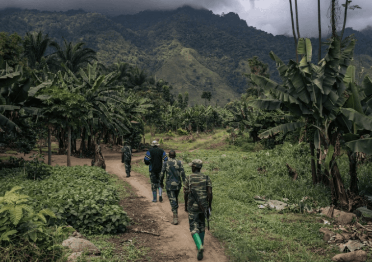 ADF Rebels Kill Dozens in Northeast DR Congo