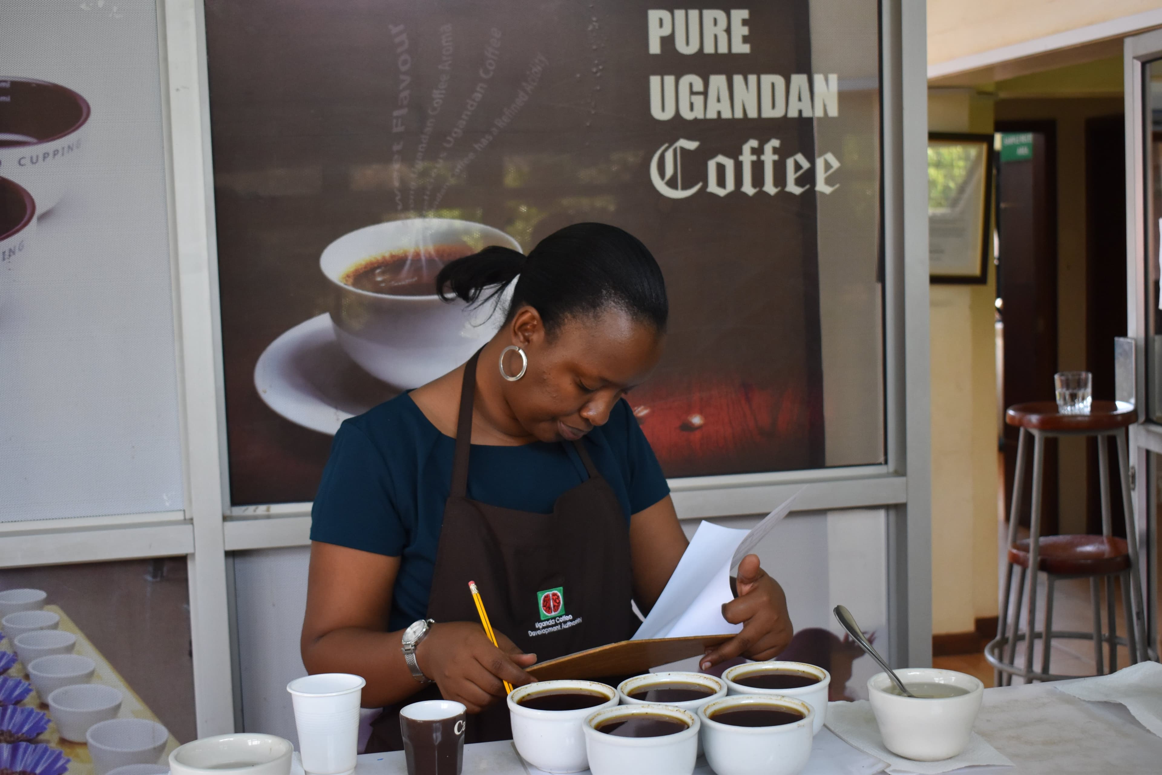 Uganda Earns Shs238 Billion from Coffee Exports in September