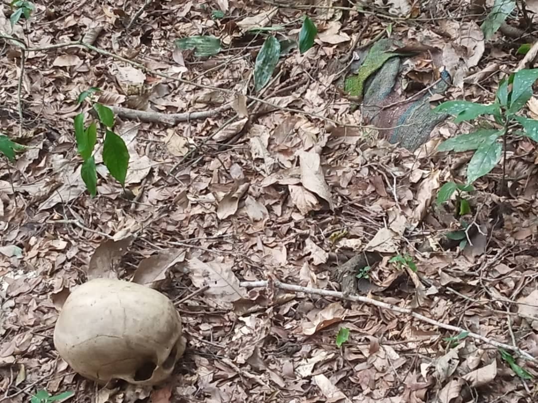 UPDF Troops Discover ADF Mass Graves in Congo