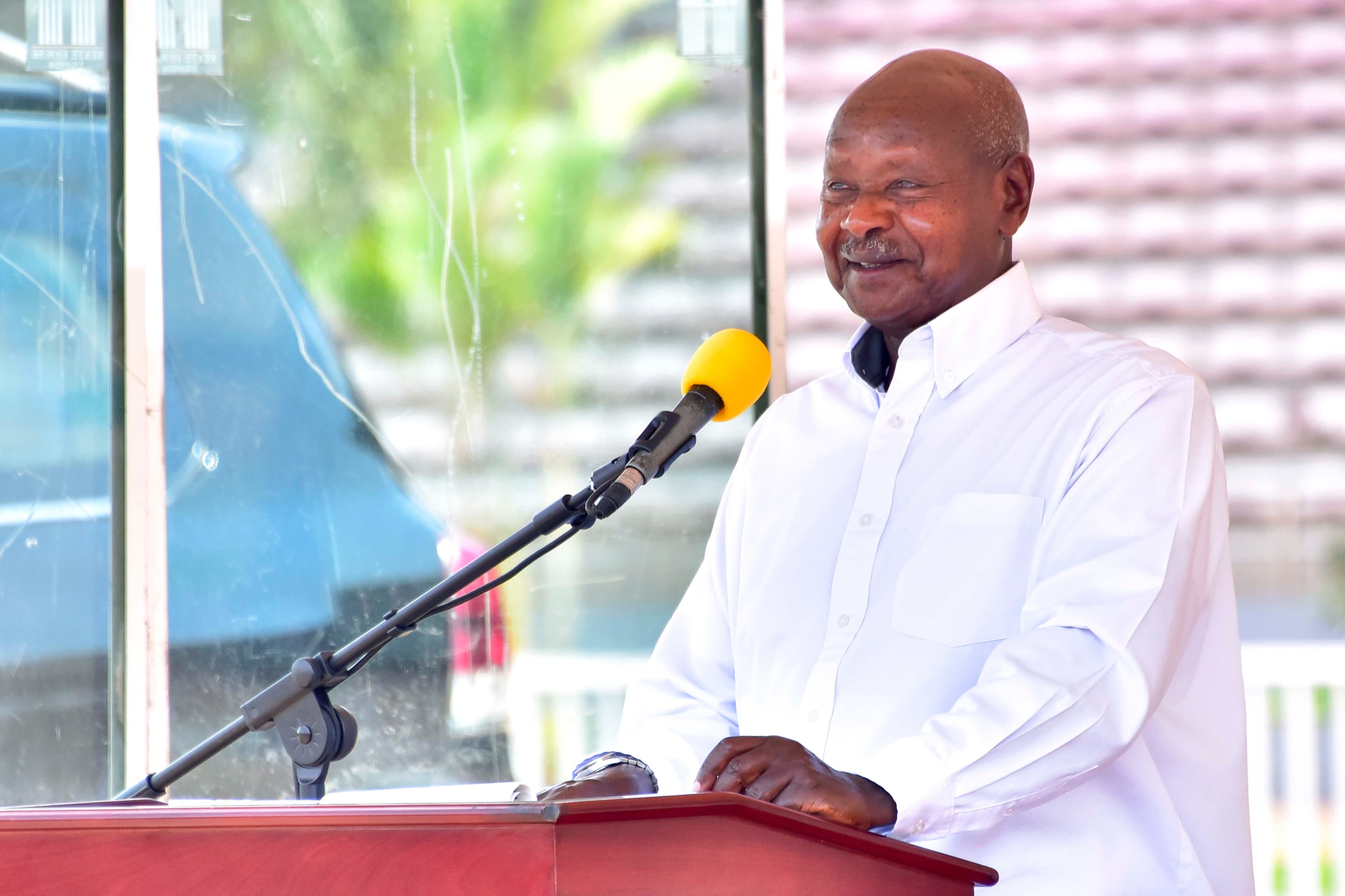 Museveni Fulfills Long-standing Cattle Compensation Pledge in Teso, Lango and Acholi