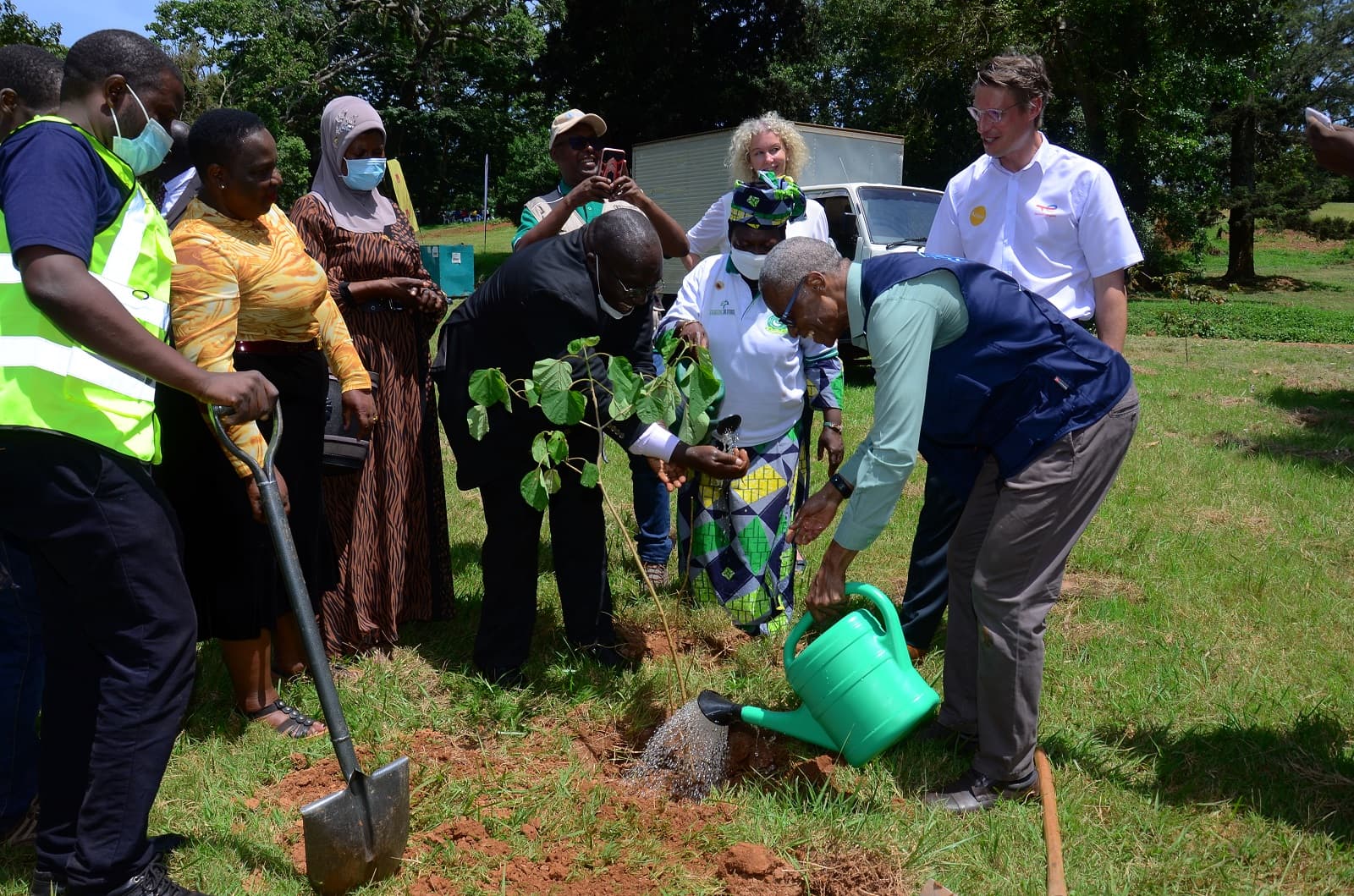ROOTS Campaign Eyes Planting One Million Trees