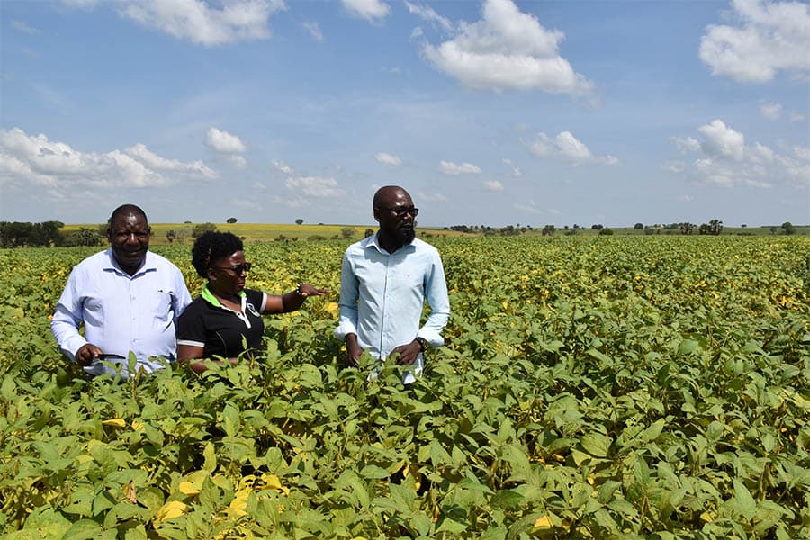 Farmers Commend NAADS for Oil Seeds Support