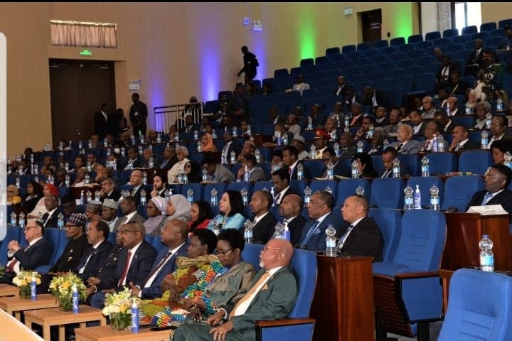 AU adopts Report of Committee of 10 on Reforms in UN Security Council