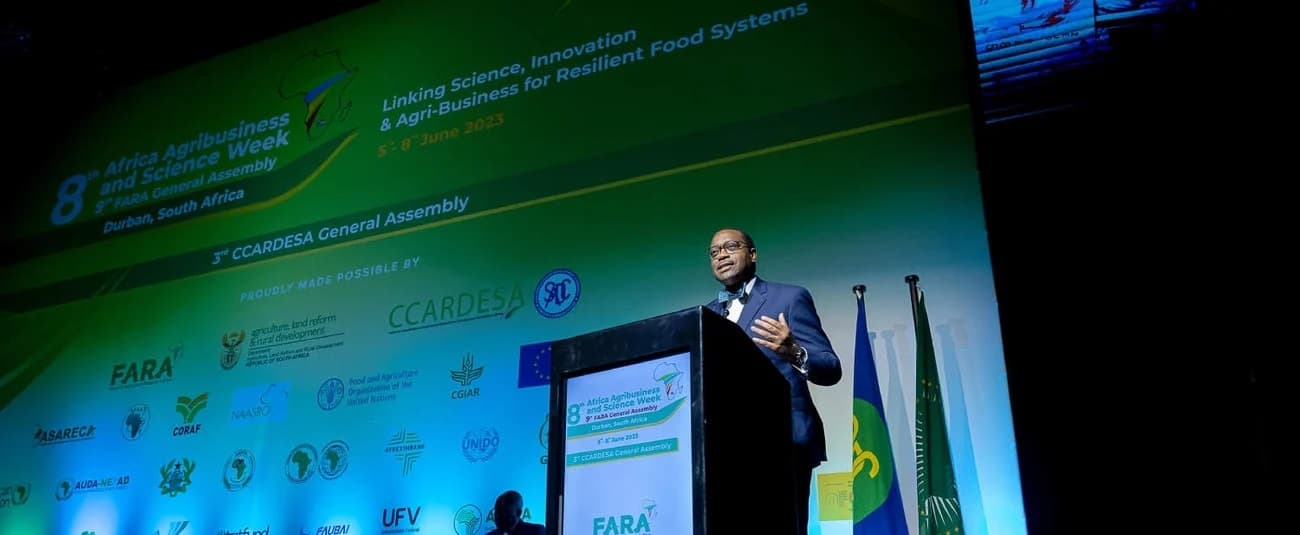 Africa Has Technology to Achieve Zero Hunger, Says AfDB Chief