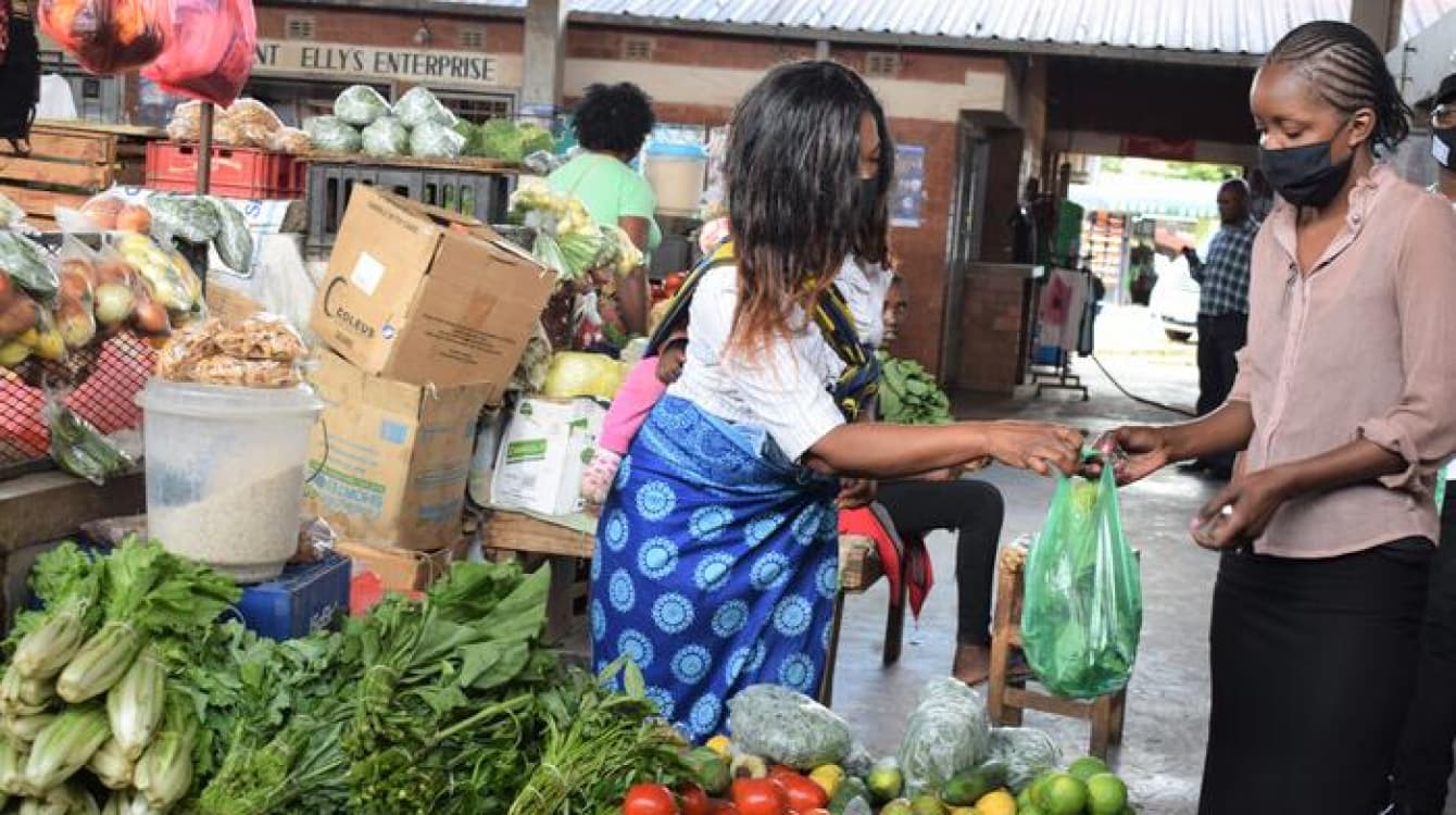 AfDB Revises Economic Forecast for Africa Downwards amid Continued Global Shocks