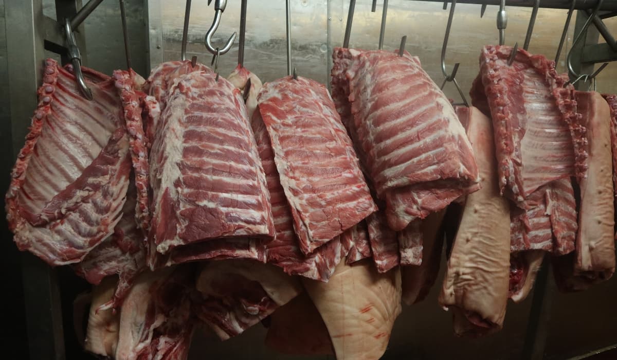 MPS  Demand Immediate Closure of Hoima City Abattoir Over Severe Health Hazards