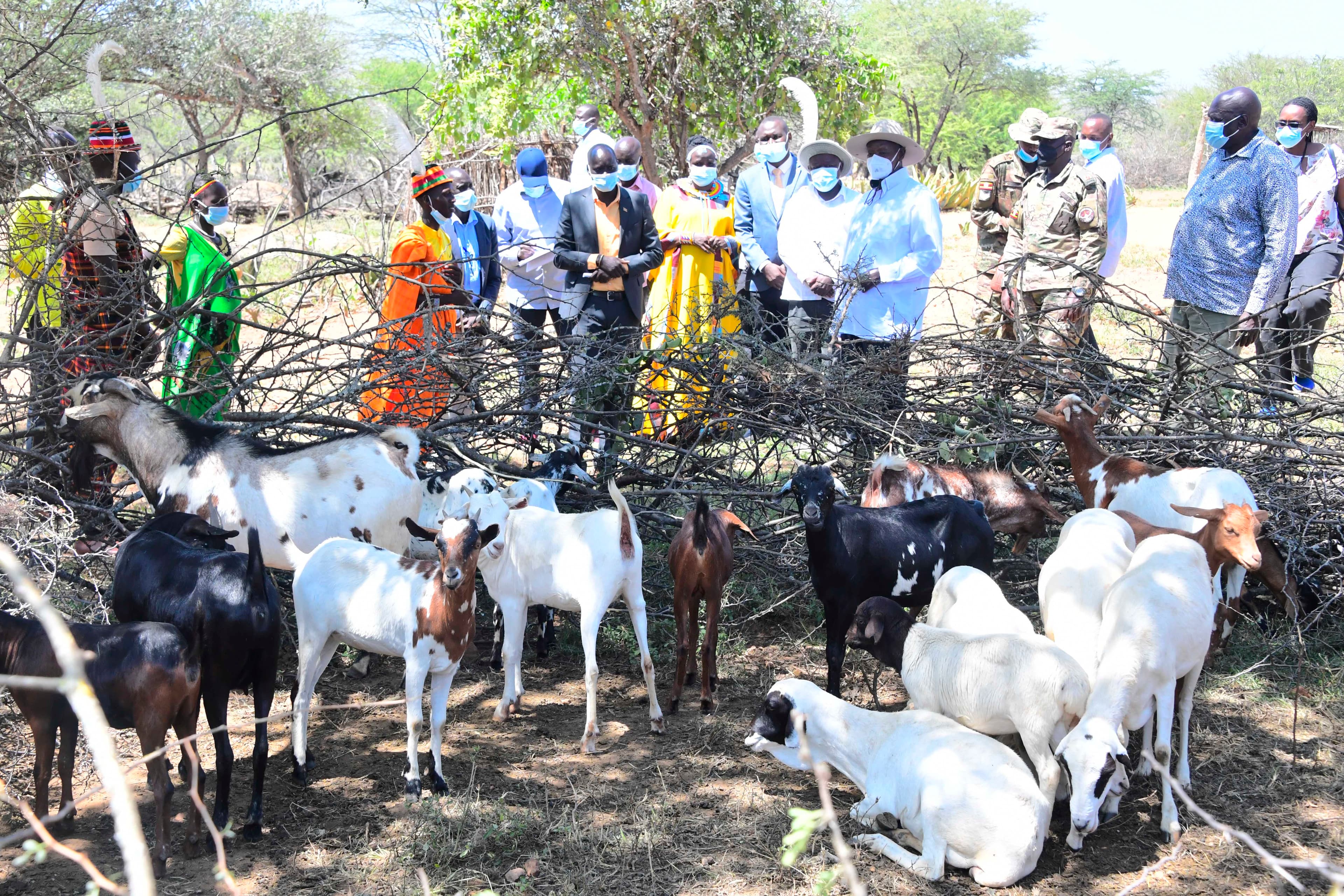 It is Easy to Escape Poverty in Uganda - Museveni Tells People in Karamoja
