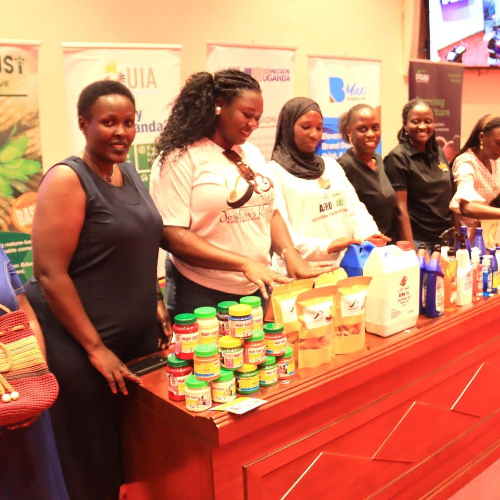 Government to Grant Tax Holiday to Domestic Investors