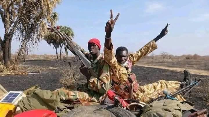 South Sudan Military Retakes Strategic Town of Nasir