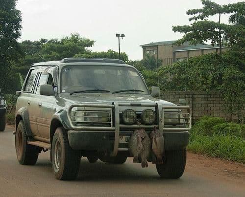 Government Suspends Express Penalty System