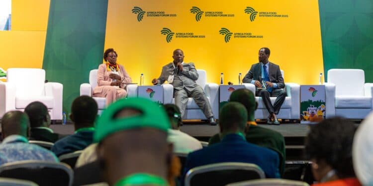 Uganda Targets Shs5.3 Trillion in Agriculture Investments