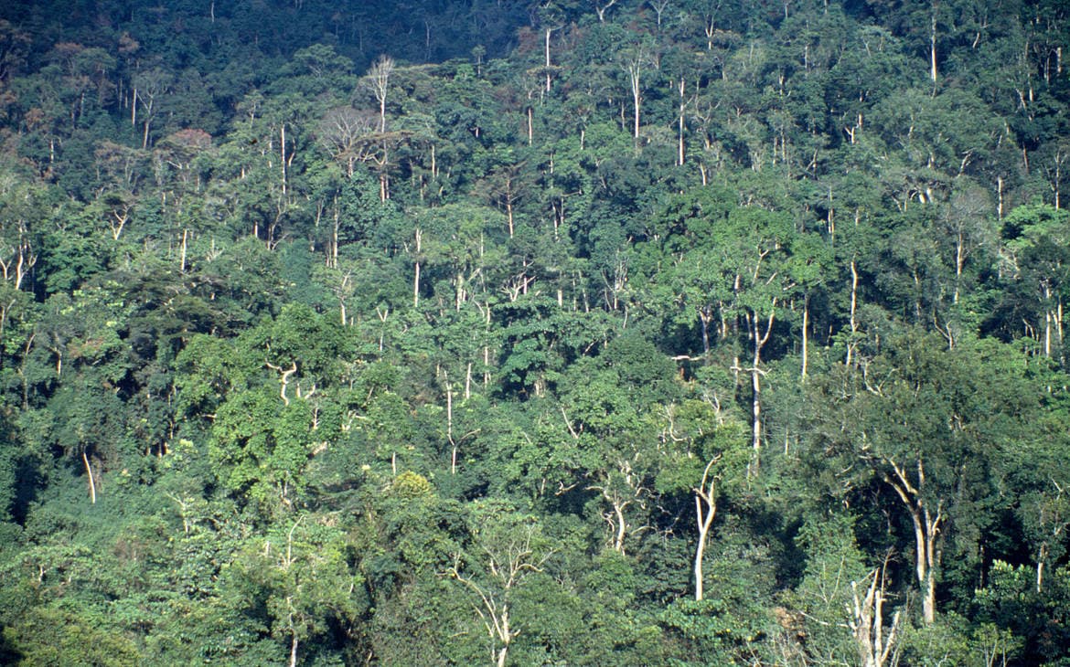 Conservationists Call for Behavioral Change to Achieve Nature Recovery