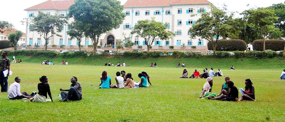 Makerere University, NARO in Shs30bn initiative to boost local food system performance in Africa