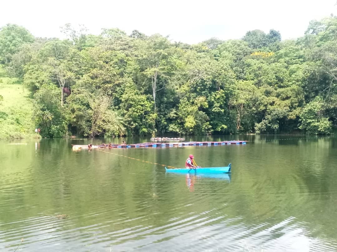 Government Injects Shs5bn into Cage Fish Farming in Kabarole Crater Lakes