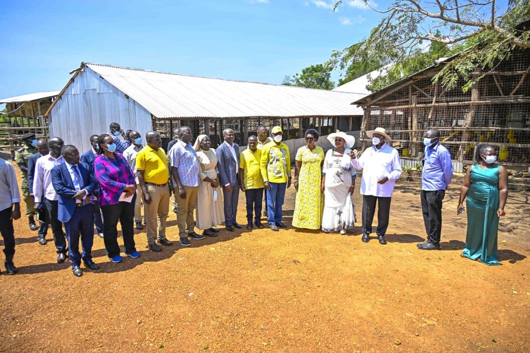 How Museveni’s Four-Acre Farming Model is Transforming Lives in Teso Region