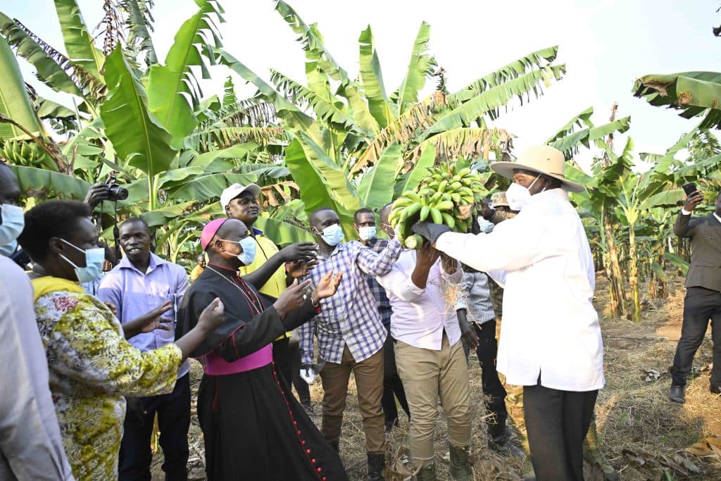 Museveni Urges Teso Leaders to Address Land Fragmentation