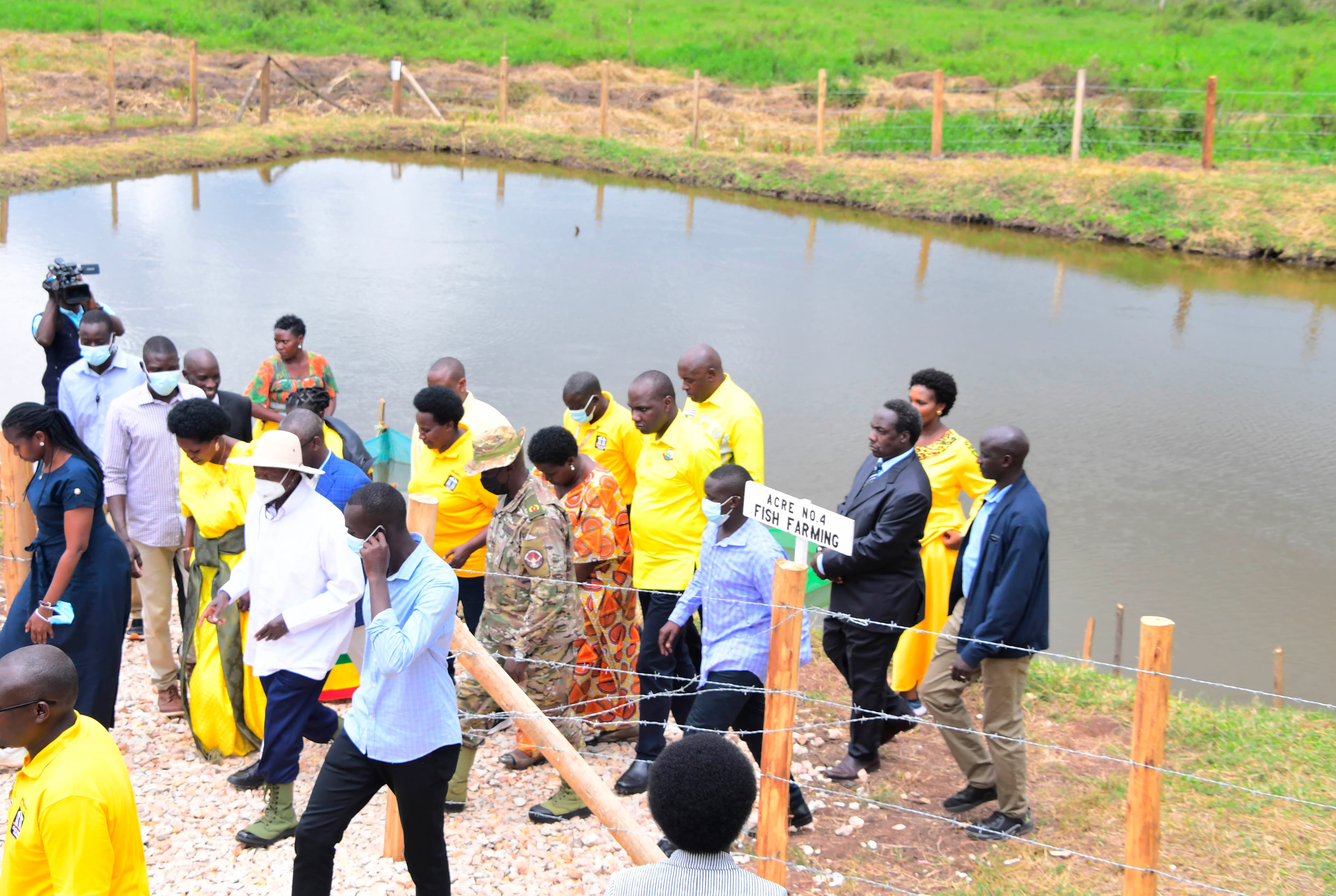 Museveni Warns Against Cattle Rearing in Wetlands, Promotes Fish Farming