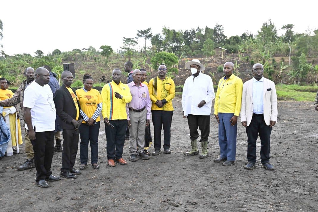 From Maize to Millions: How Mpagazihe Transformed His Life Through Fish Farming