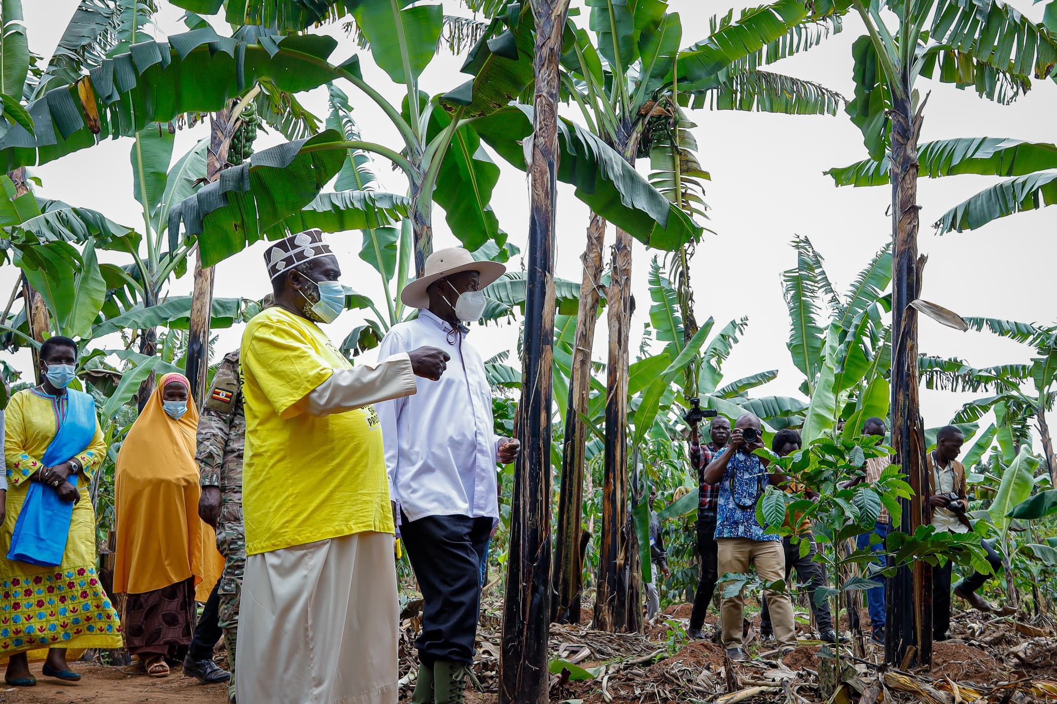 From One Cow to a Thriving Farm: How Hajji Zziwa’s Four-Acre Model Success Is Inspiring Ugandan Farmers