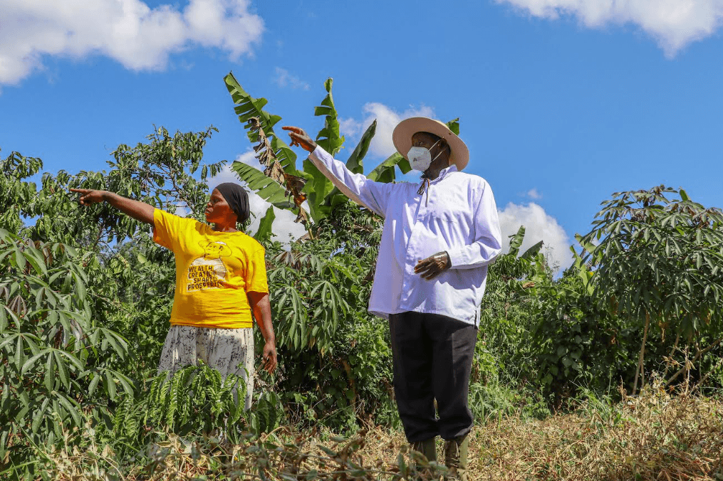 How Shs1 Million PDM Fund Turned Butambala Woman into Model Farmer