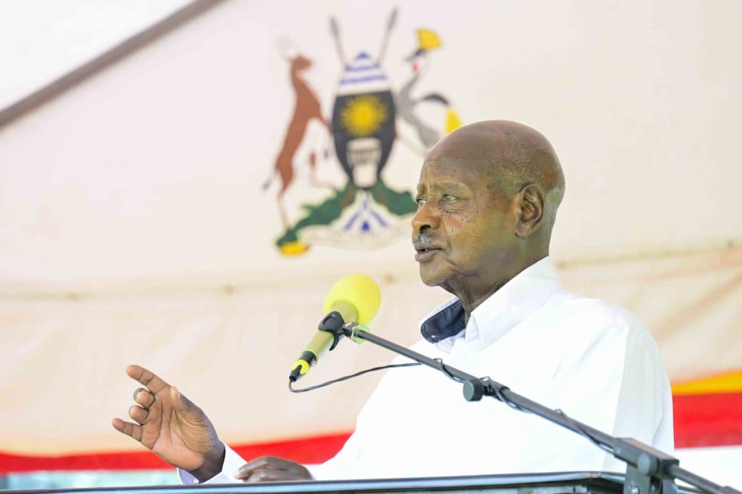Museveni Orders One-Month Audit of Cattle Compensation in Northern Uganda