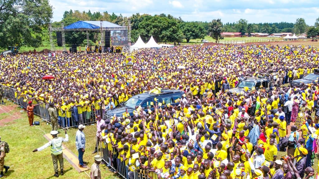 Museveni Promises Five Cows Per Home as Cattle Restocking Revives Hope in Northern Uganda