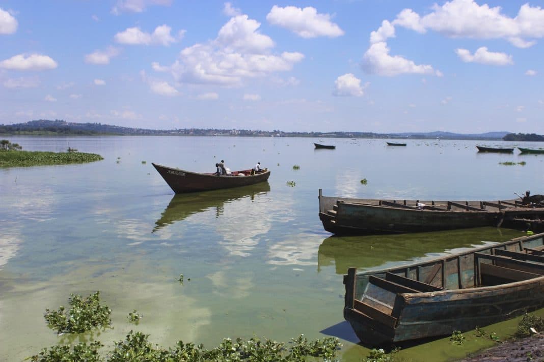 Decaying Algae Causing Stench on Lake Victoria, Ministry Explains