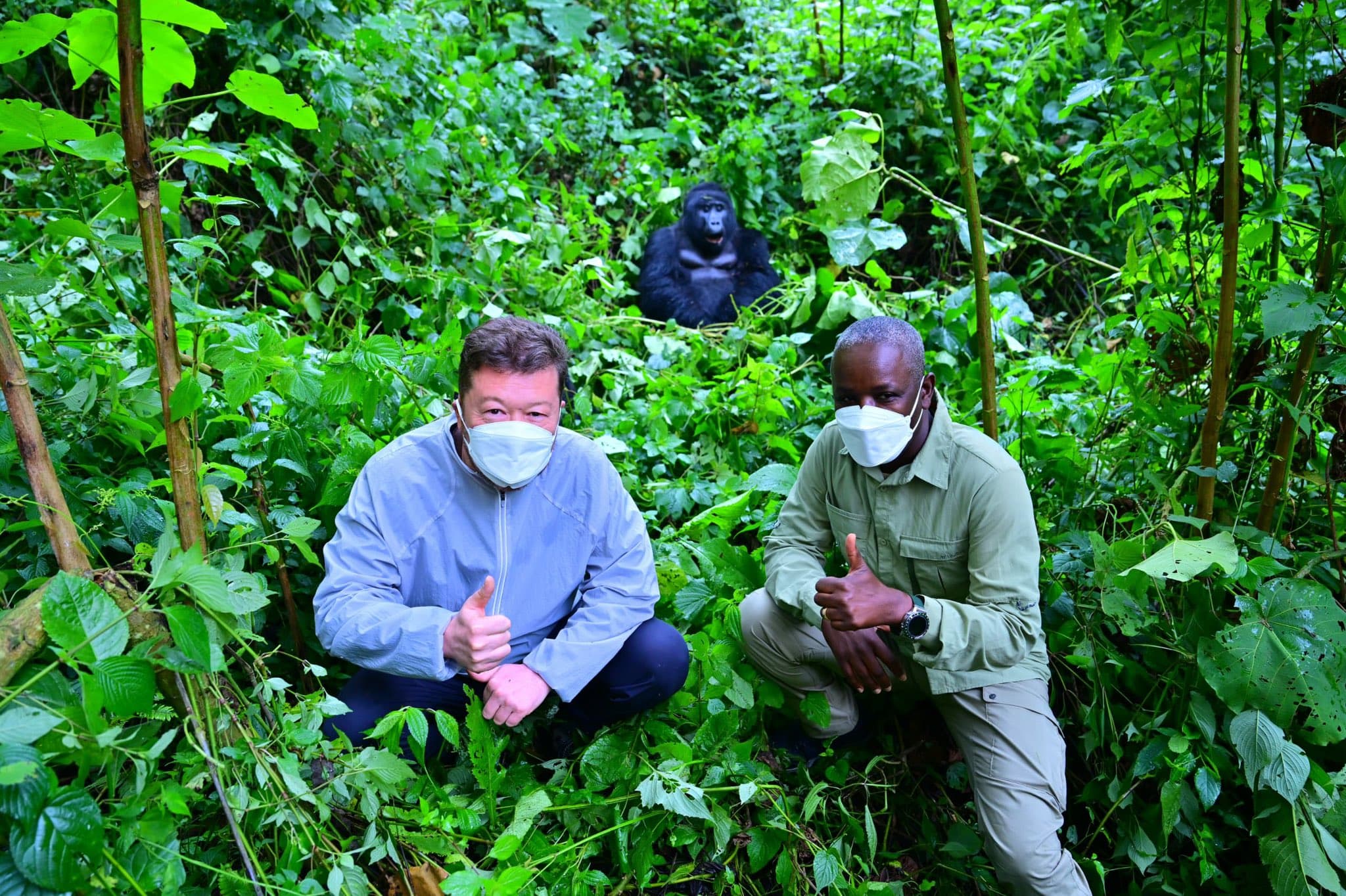 Czech Parliamentary Speaker Tracks Bwindi Gorillas, Names Baby 'Tomio' to Boost Uganda Tourism Ties