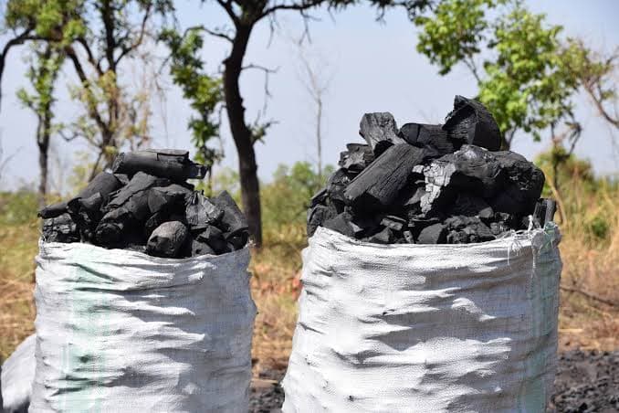 UPDF Enforces Total Ban on Charcoal Trade in Northern Uganda