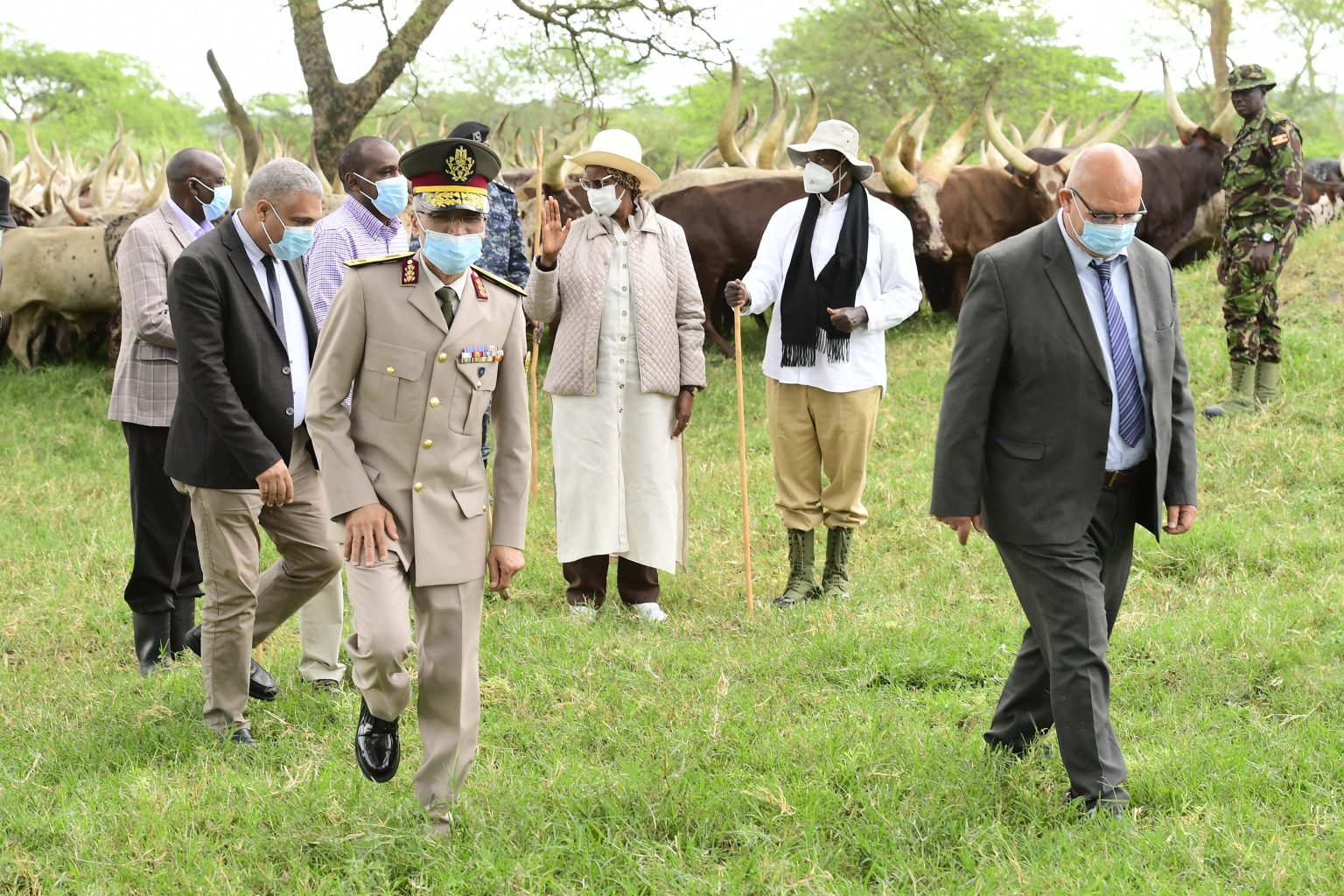 President Yoweri Museveni has called for the manufacturing of more Foot and Mouth Disease (FMD) vaccine doses in order to deal with the contagious viral livestock infection. 