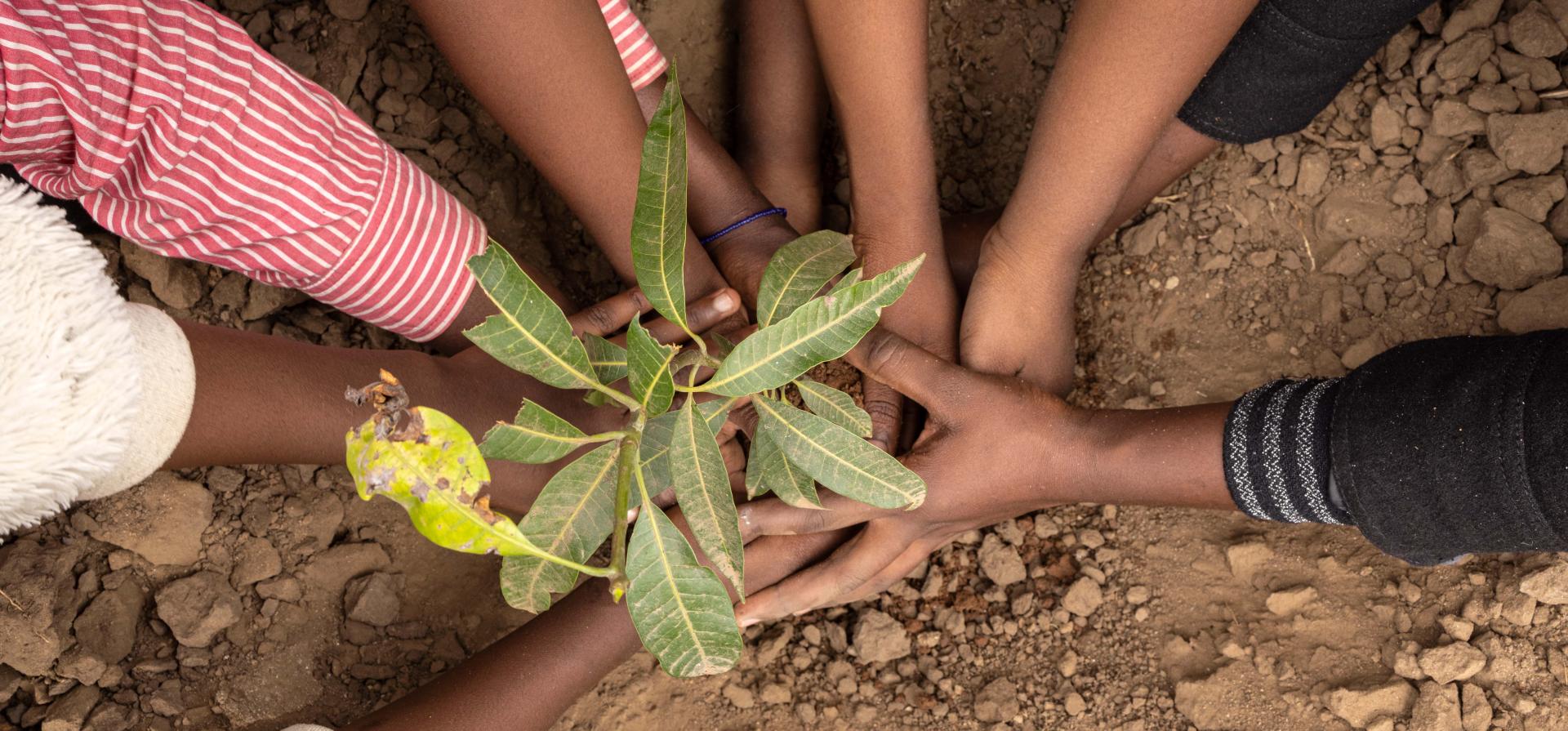 These funds, targeted at youths aged 18-24 years, offer an opportunity for young individuals to make a positive impact on their communities and the environment.