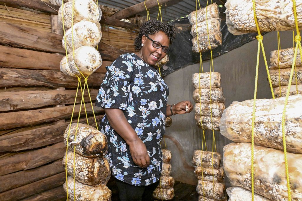 Mushroom Farming: A Profitable Venture for Urban Farmers