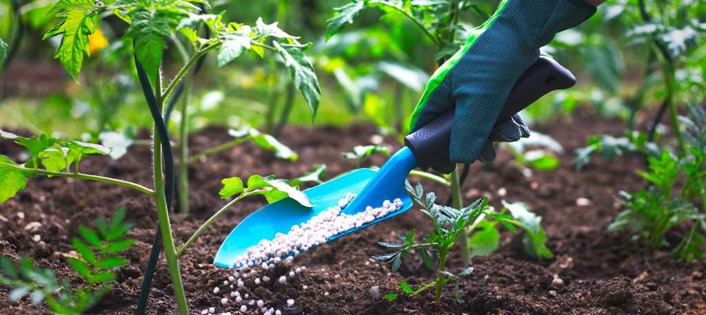 The Africa Fertilizer Financing Mechanism 