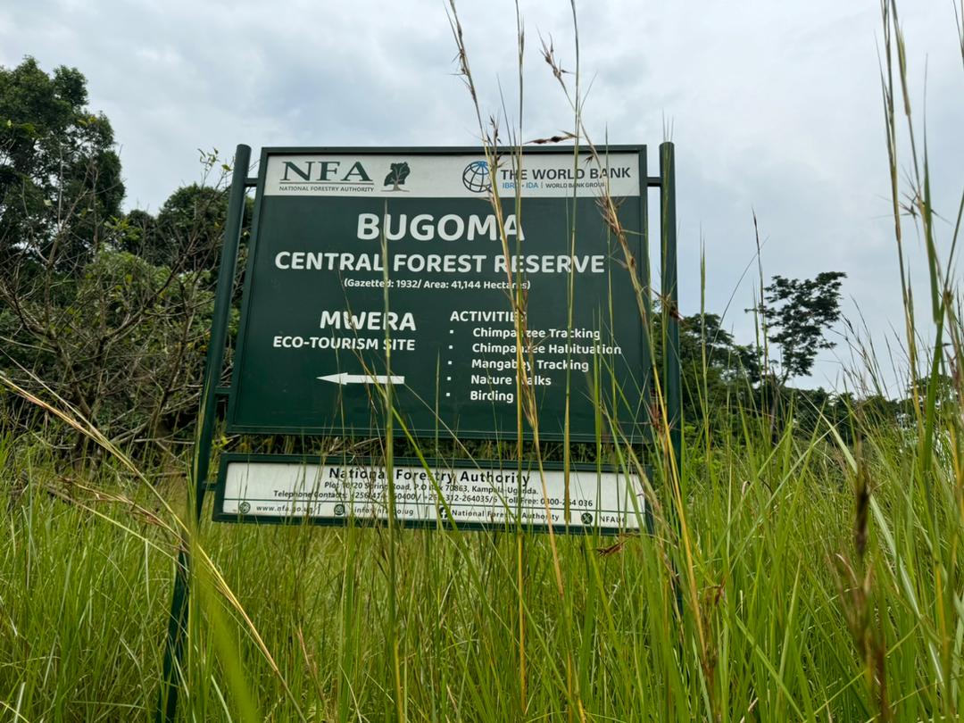 Bugoma Central Forest Reserve