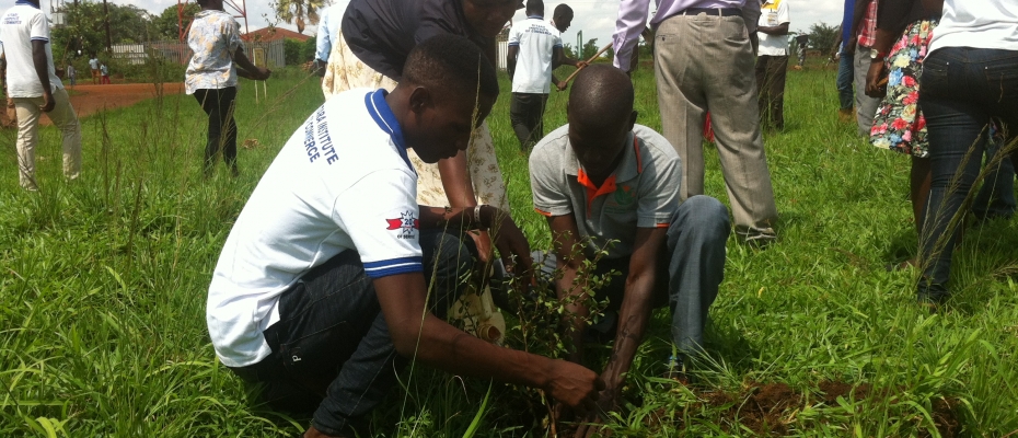 Journalists plant a tree during launch of their afforestation drive in Buliisa. Courtesy photo