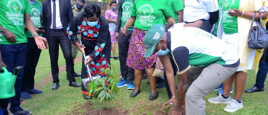 Speaker Kadaga planting a tree