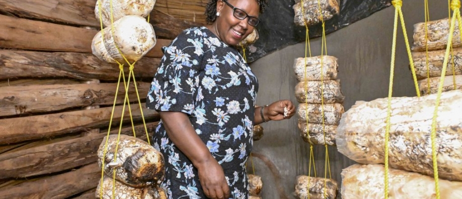 Mushroom Farming: A Profitable Venture for Urban Farmers