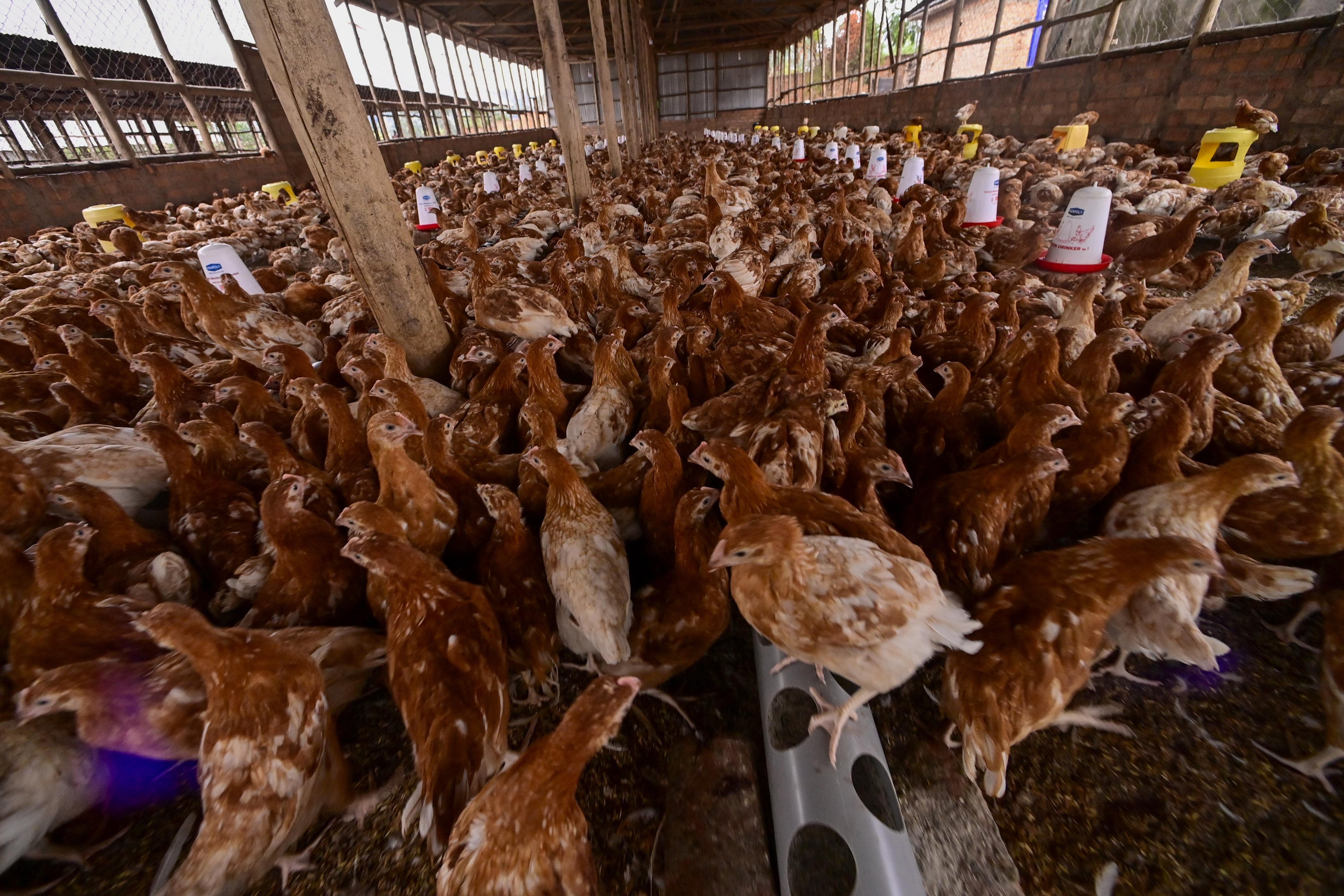 11 - How David Irumba Built a Multi-Million-Shilling Empire