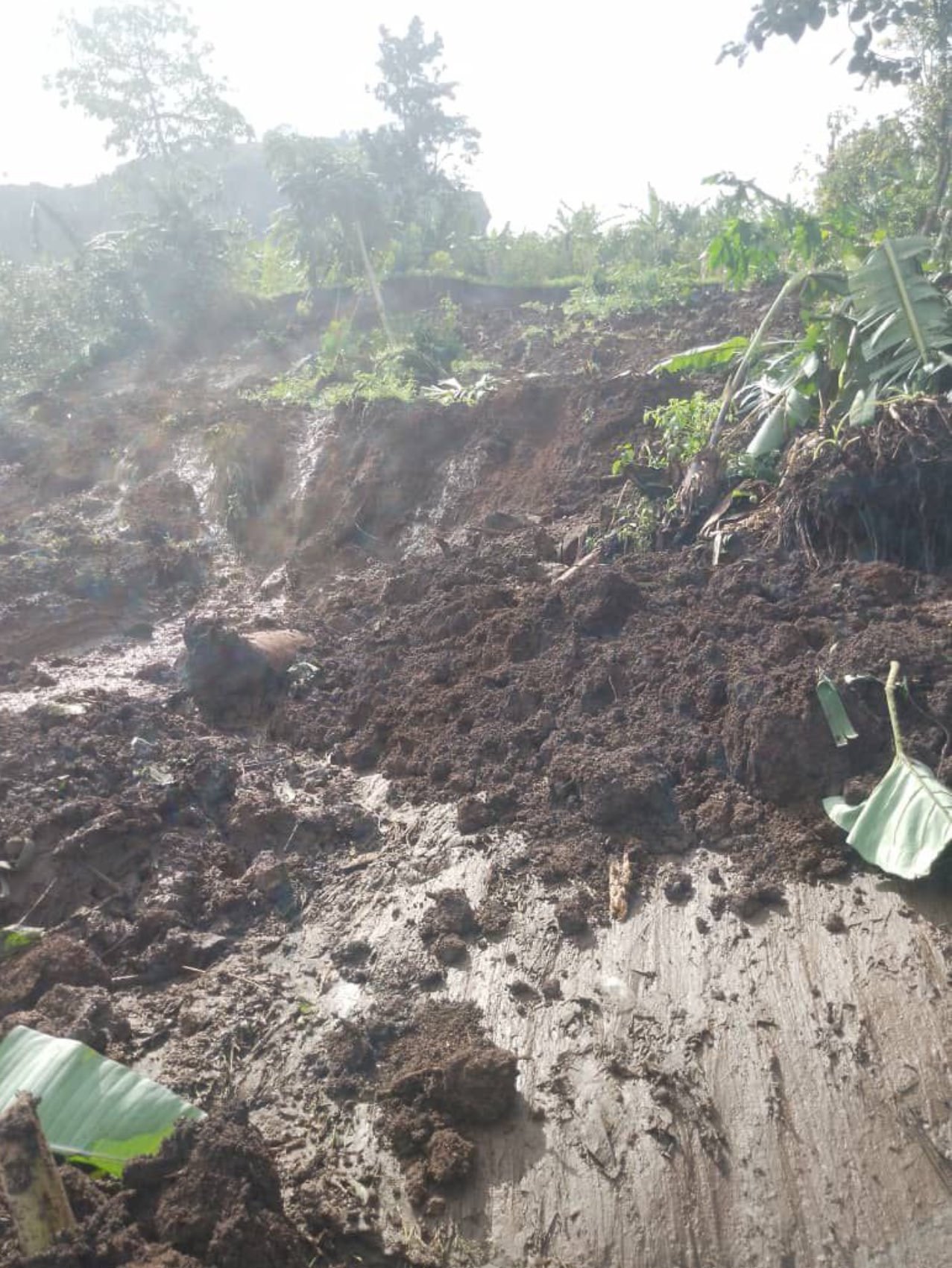 Dozens Feared Dead in Bulambuli Landslide